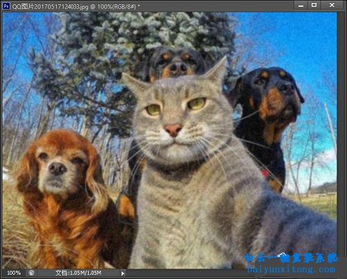 ps做舊照片效果,ps怎么把照片做舊,ps添加雜色步驟