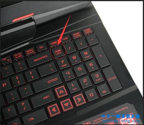炫龍炎魔t1,數(shù)字鍵用不了,筆記本數(shù)字沒用步驟
