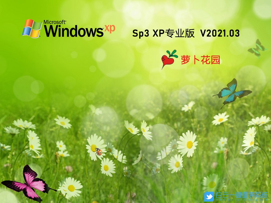 蘿卜家園 Ghost XP SP3 裝機(jī)專業(yè)版 V2021.03 界面1