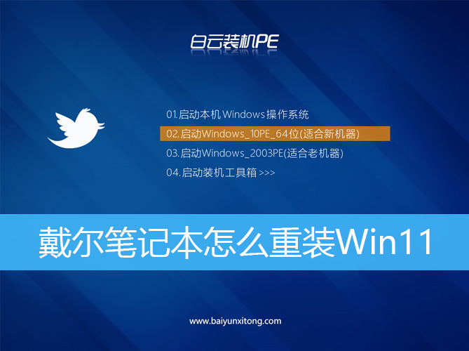 戴爾筆記本怎么重裝Win11|DELL電腦重裝系統Win11