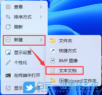Win11,桌面文件,文件圖標(biāo),白色文件步驟
